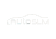 AutoSLM